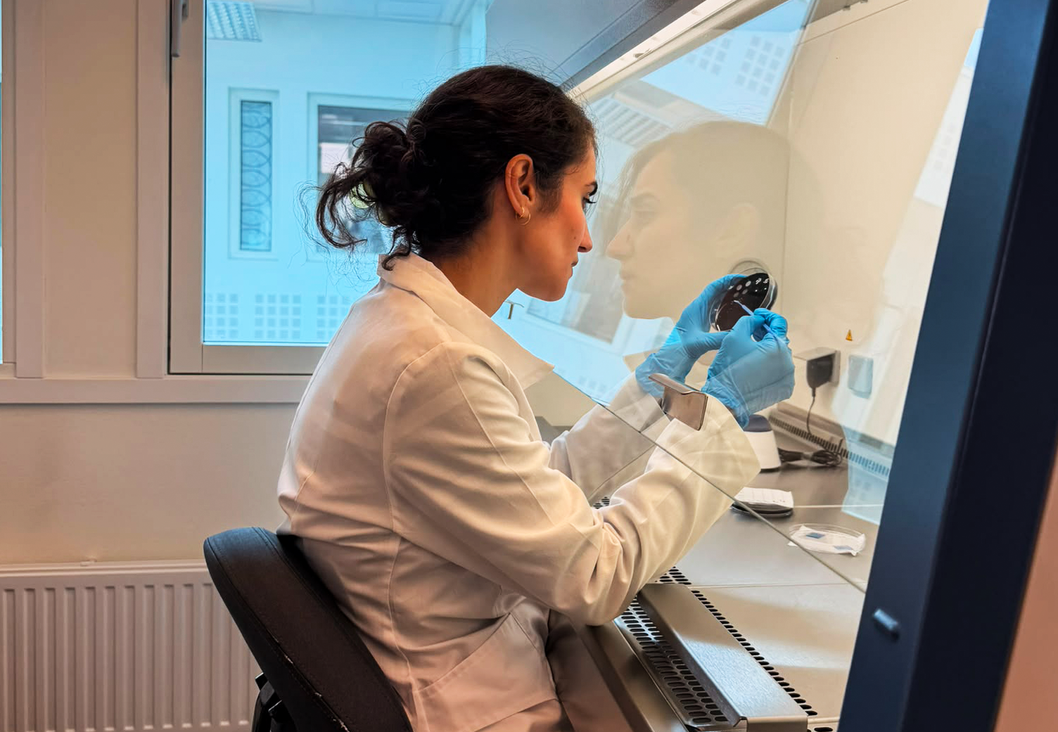 Person med petriskål ved laboratoriebenk