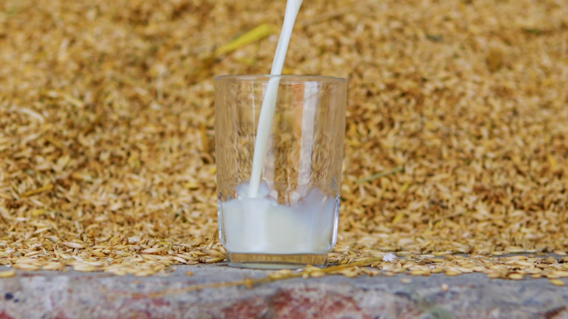 Havremelk som helles i et glass