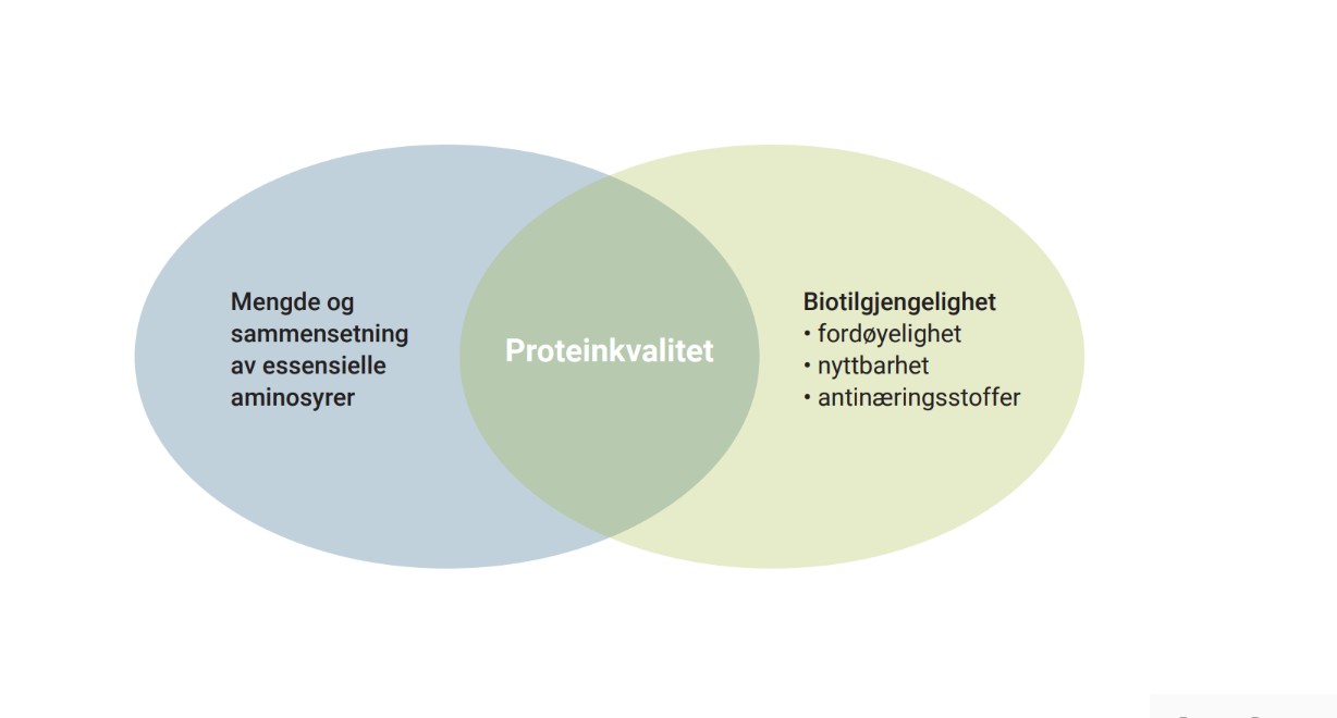 Proteinkvalitet er avhengig av innholdet av essensielle aminosyrer og deres biotigjengelighet
