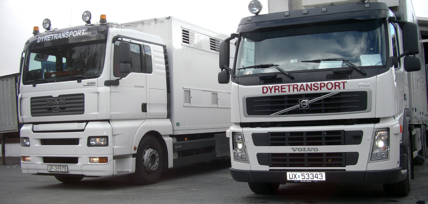 Dyretransportbiler