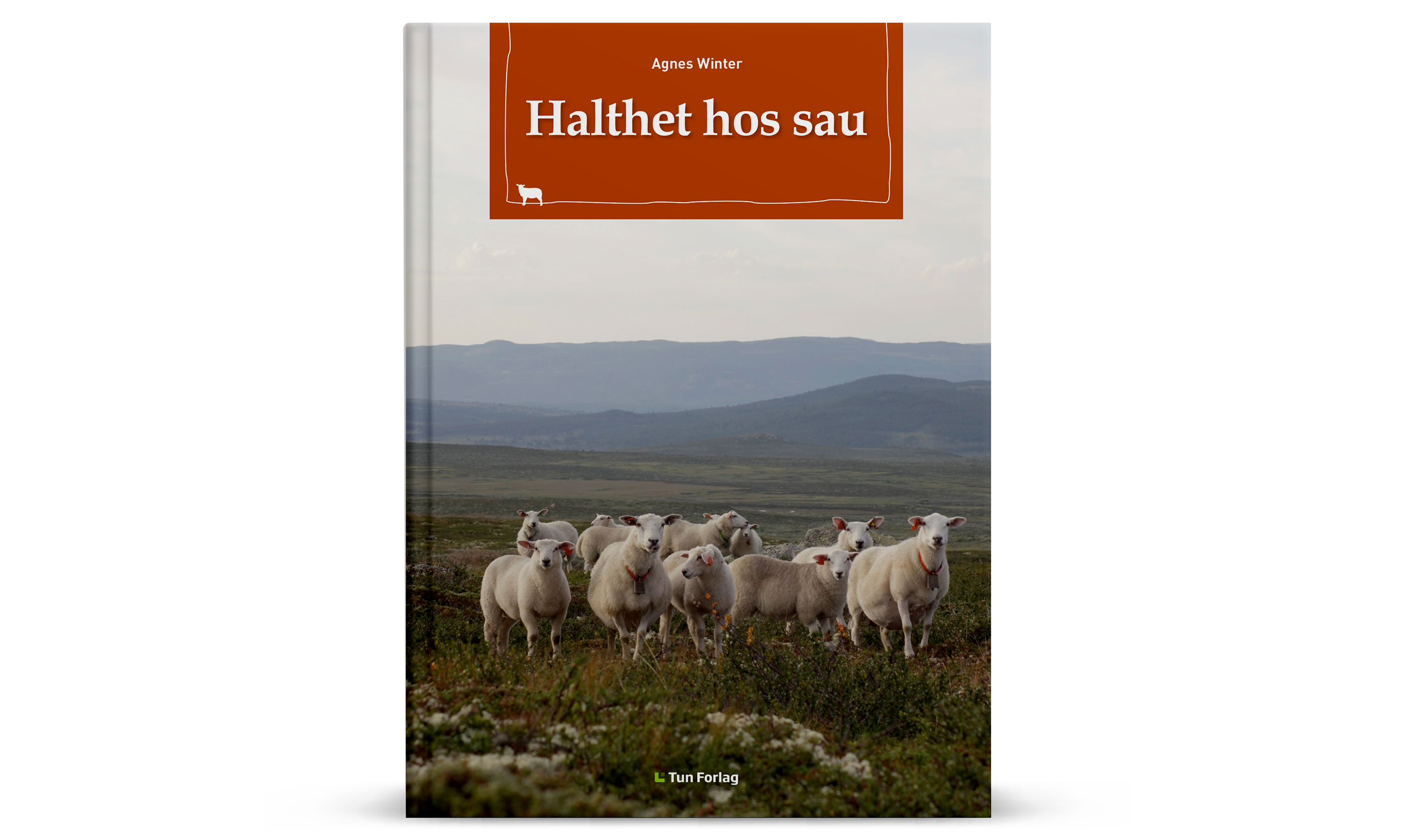 Bilde av boka Halthet hos sau