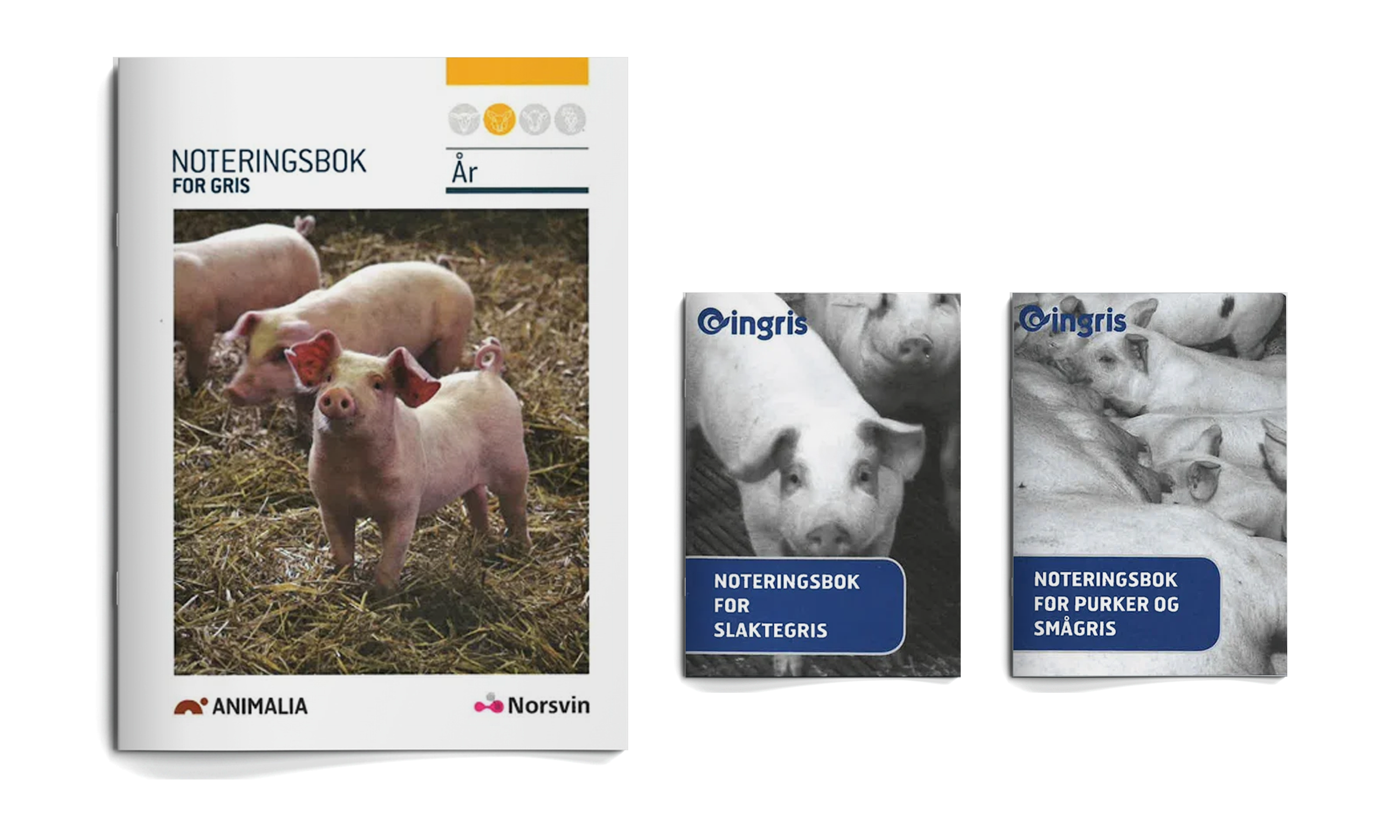 En noteringsbok fro gris i A5-størrelse, og to mininoteringsbøker for slaktegris og purker og smågris