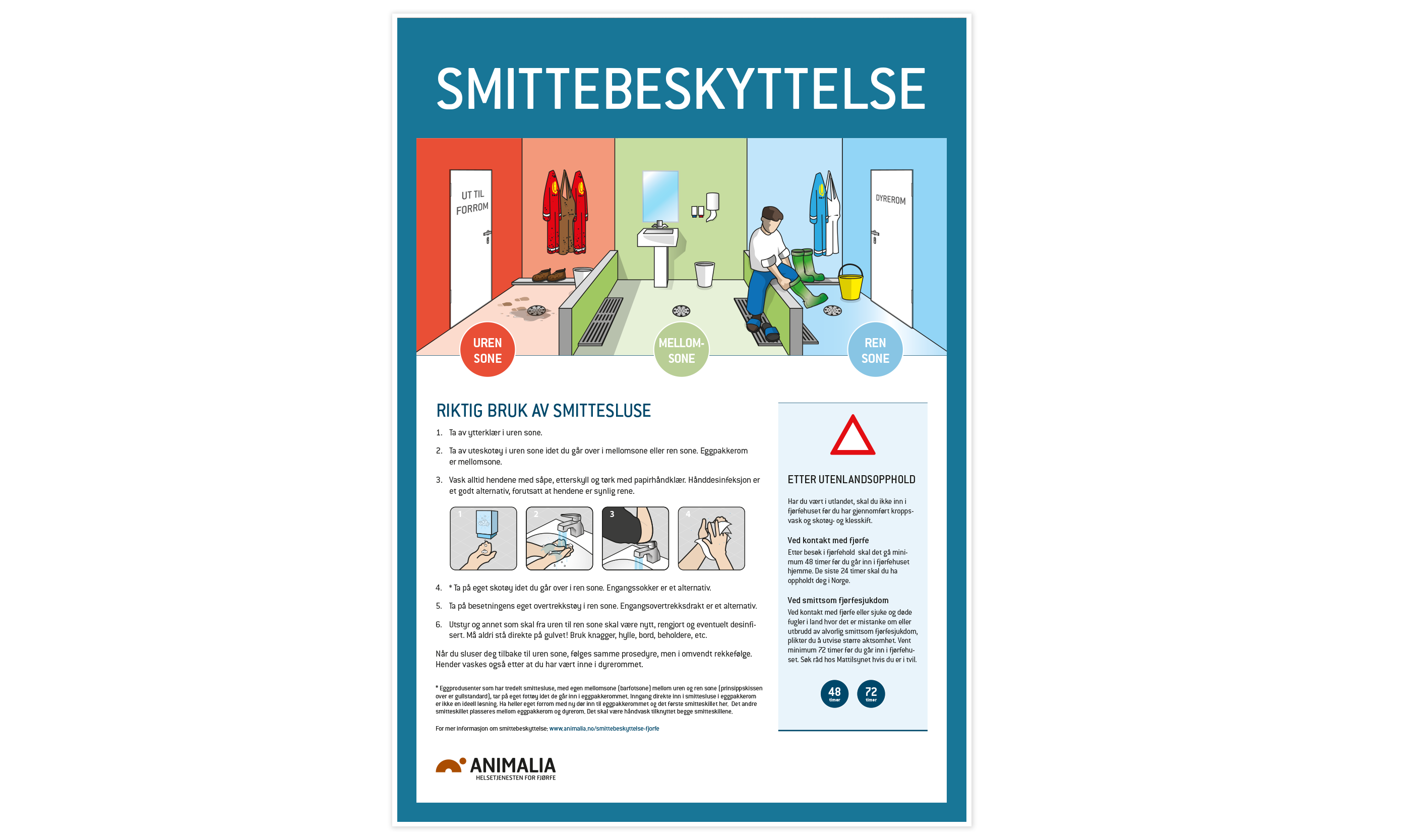 Smittebeskyttelsesplakat for eggprodusenter