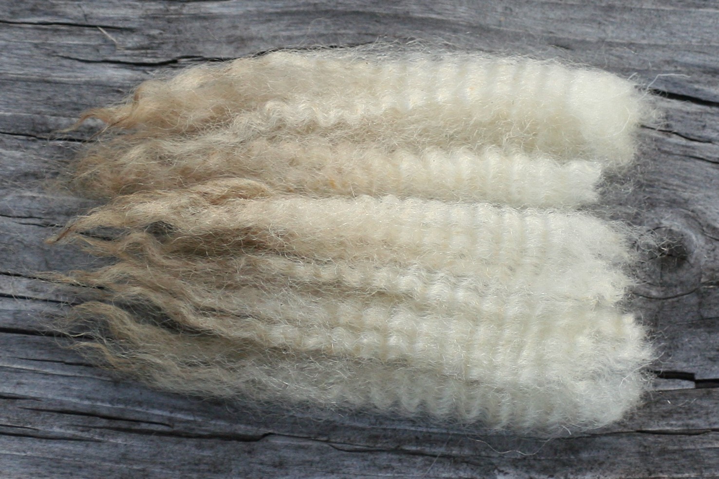 Crossbredull