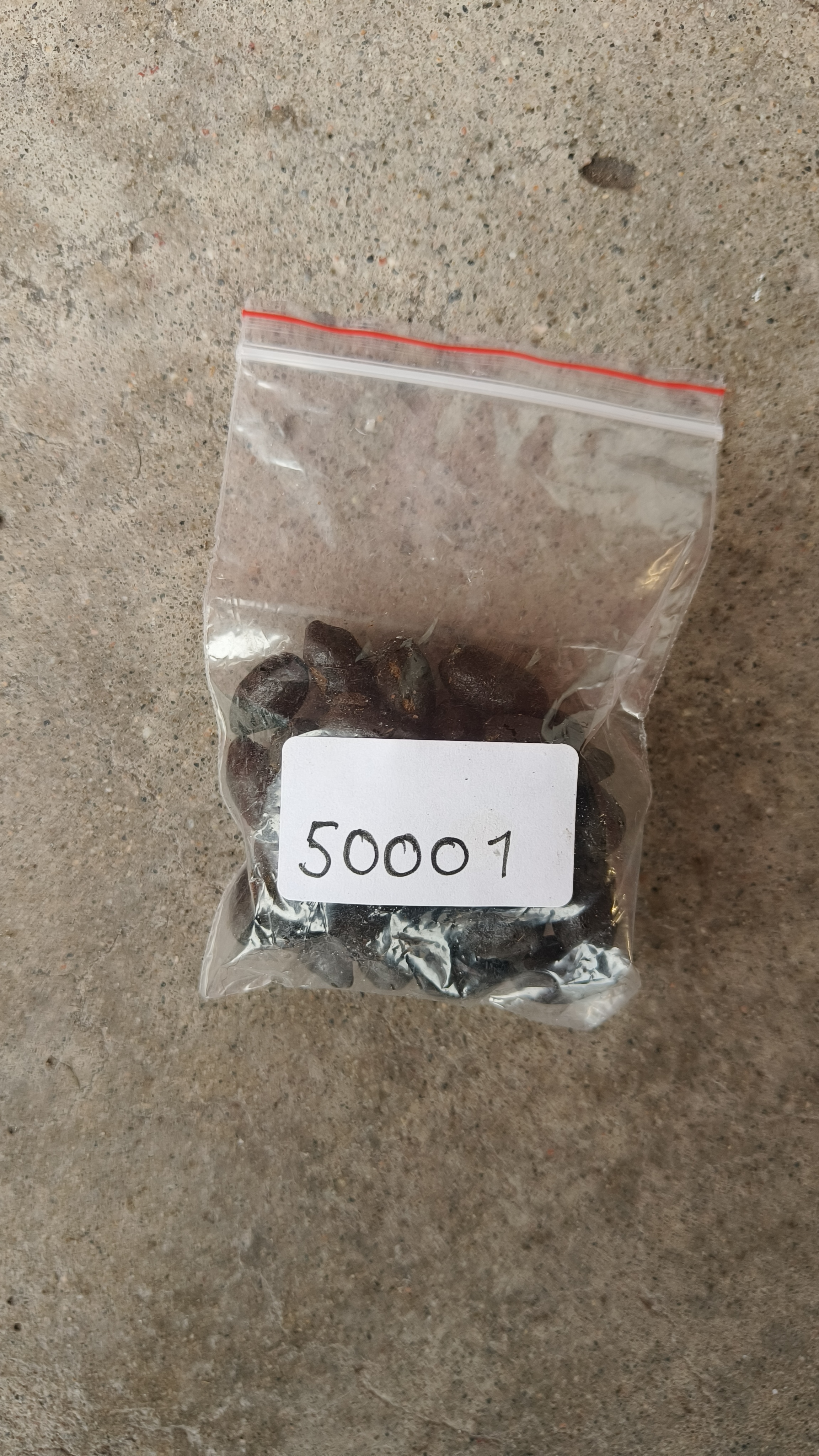 Ziplock pose med avføring i, merket på utsiden