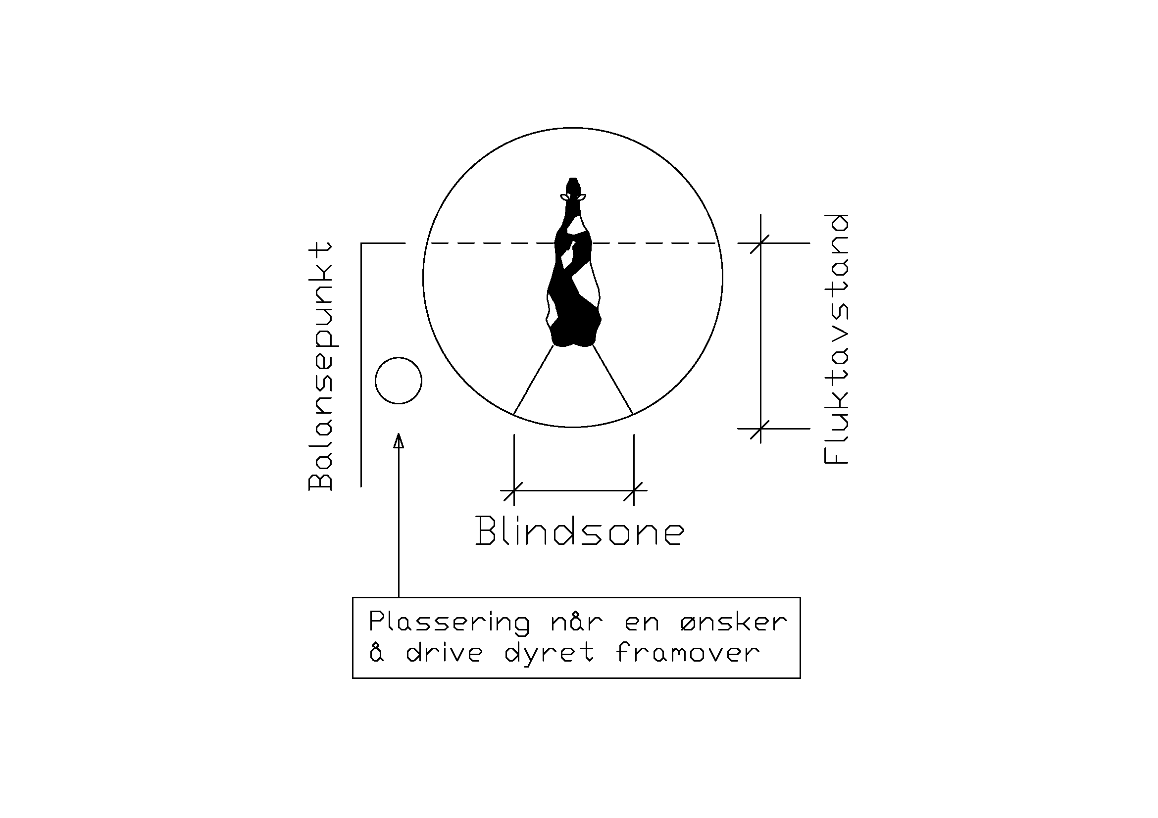 Illustrasjon av blindsone for storfe under driving