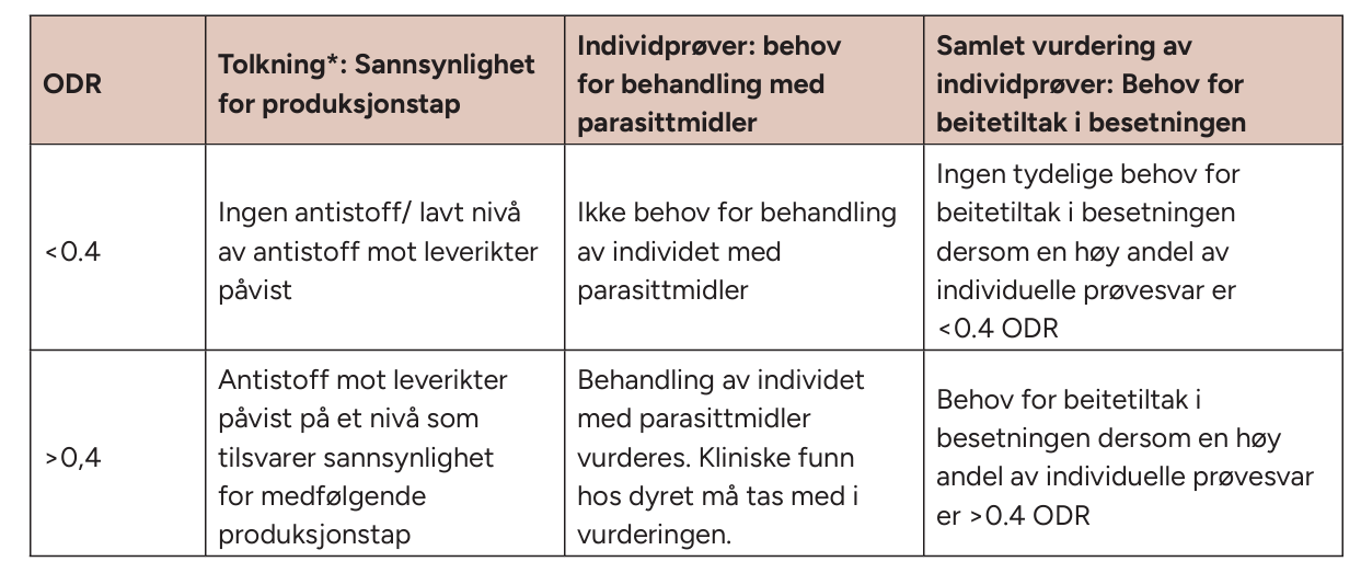 Tabell tolkning individprøver for store leverikter