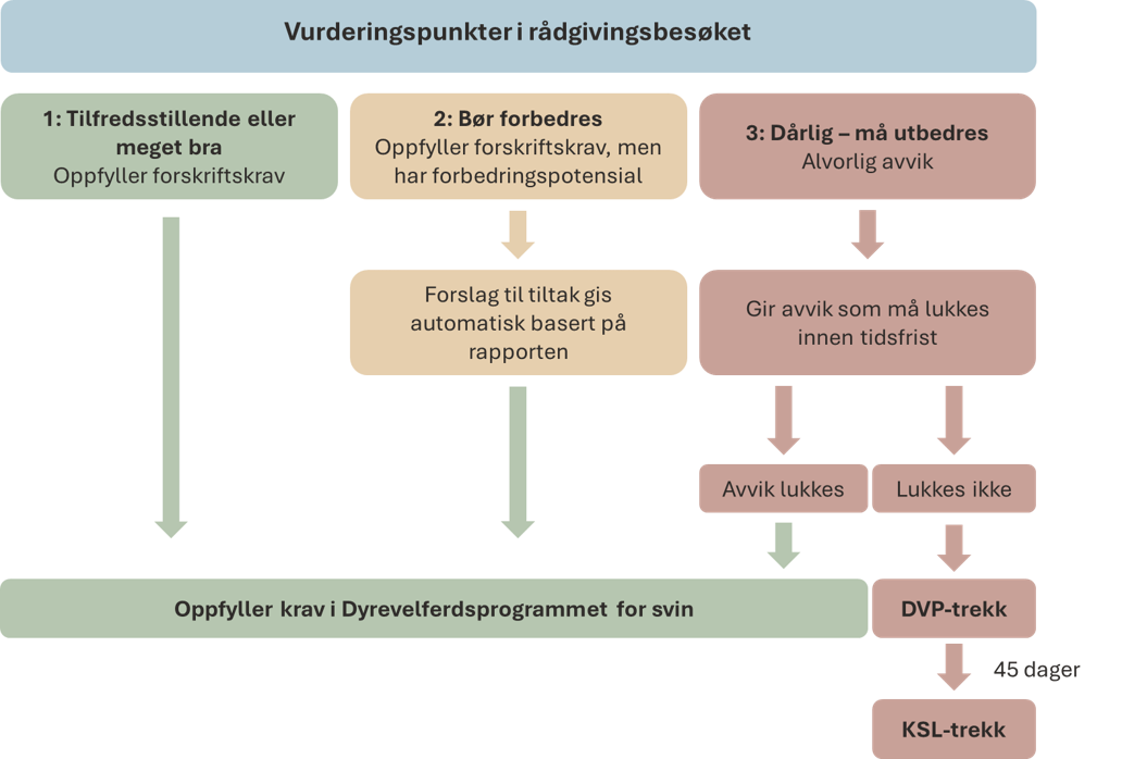 Beskrivelse av avvikshåndtering i DVP svin