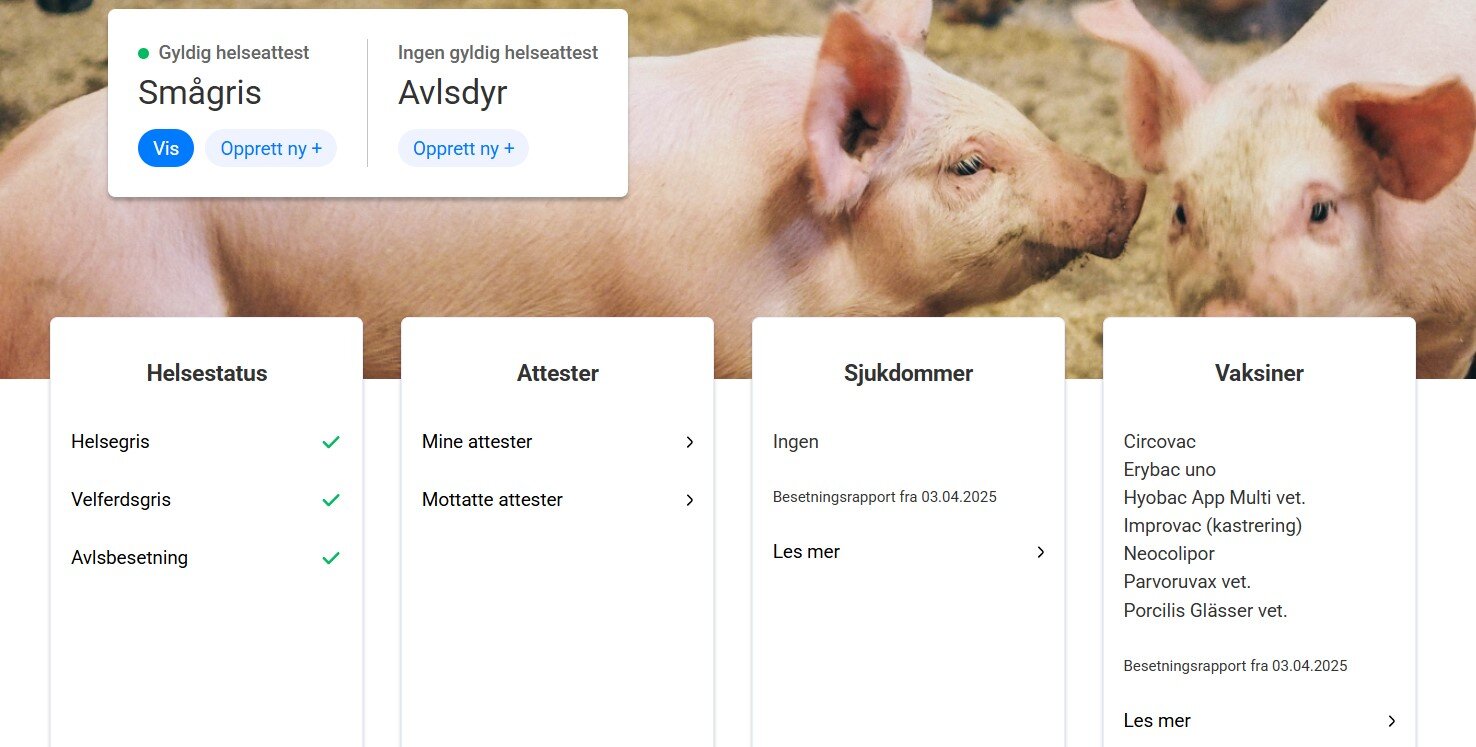 Forsiden på helseattest.animalia.no dersom du er avlsbesetning