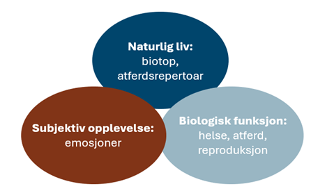Illustrasjonen viser hvordan dyrevelferd kan vurderes ut fra tre forhold.