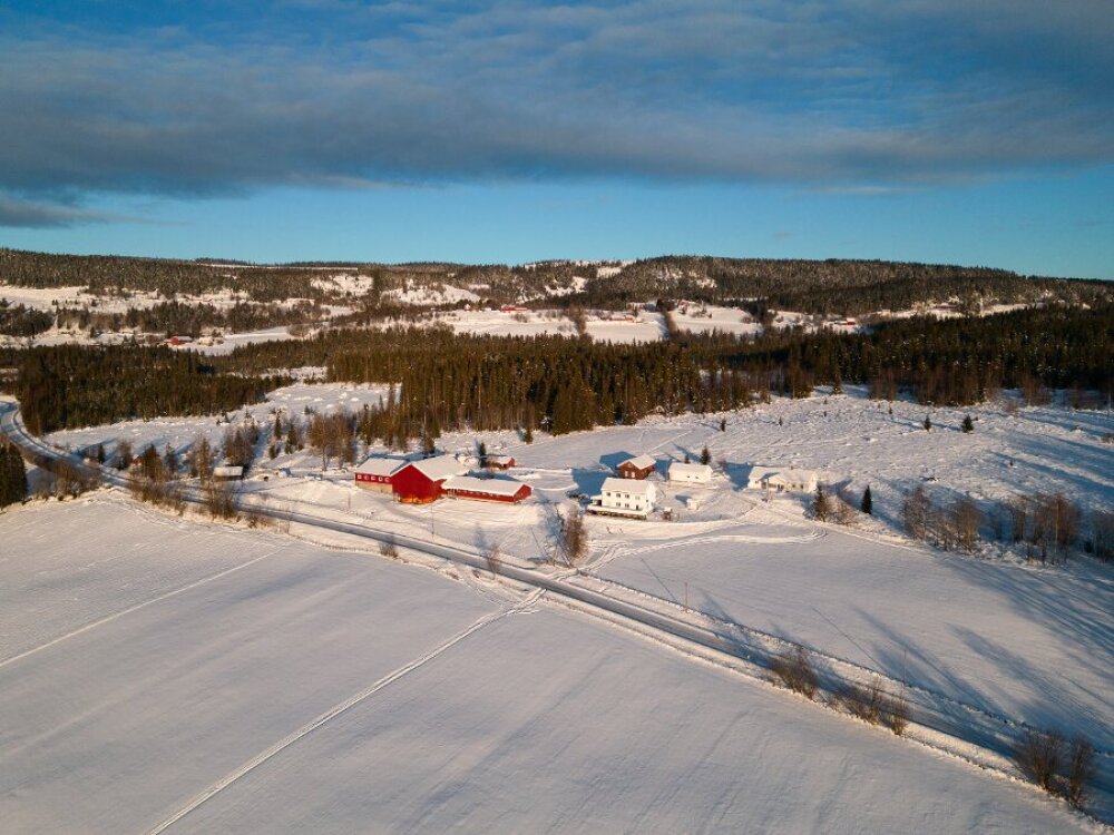Vinterlandskap med snødekte åkre, en gård med hvite og røde bygninger, omgitt av skog