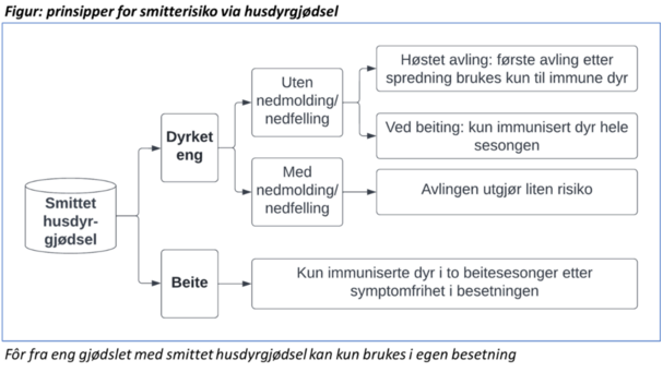 skisse_handtering_husdyrgjoedsel_ringormsmitte